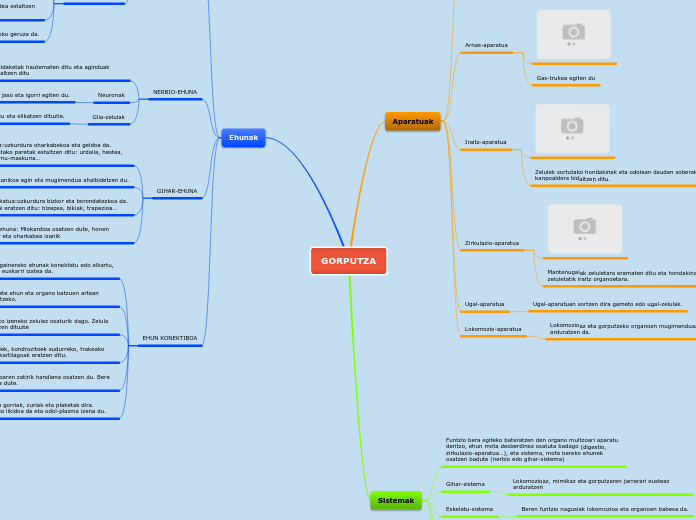 GORPUTZA - Mind Map