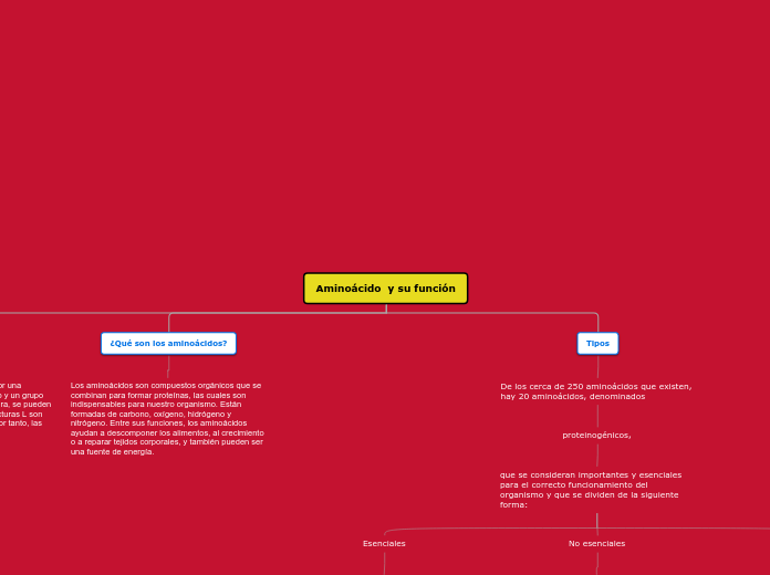 Aminoácido  y su función - Mapa Mental
