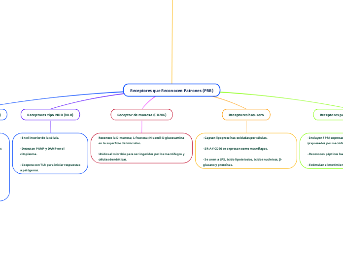 Receptores que Reconocen Patrones (PRR) - Mapa Mental