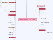 LA CÉLULA Y LOS TEJIDOS - Mapa Mental