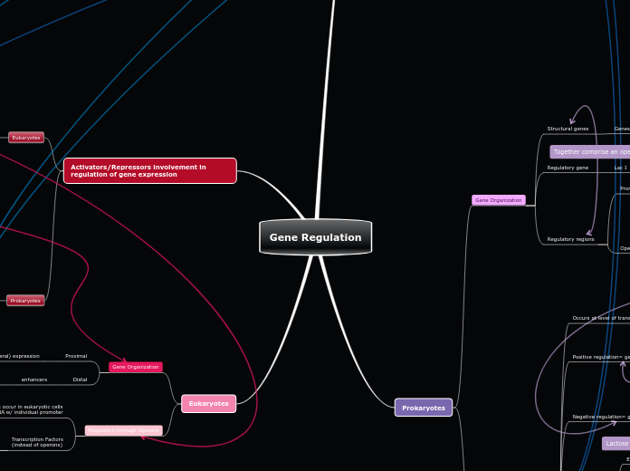 Gene Regulation - Mind Map