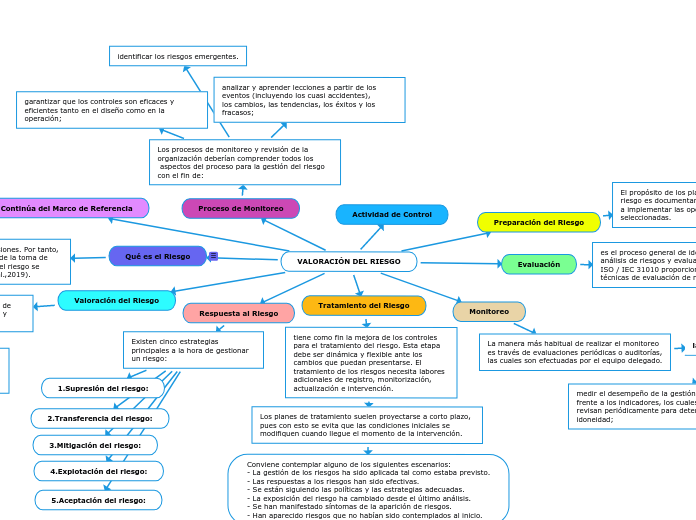 VALORACIÓN DEL RIESGO - Mapa Mental