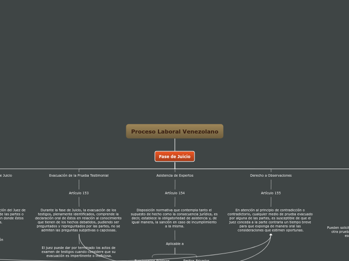 Proceso Laboral Venezolano - Mapa Mental