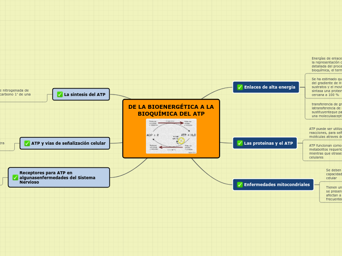 DE LA BIOENERGÉTICA A LA BIOQUÍMICA DEL AT...- Mind Map