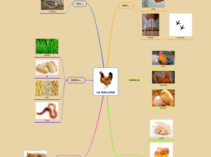 LA GALLINA - Gondolattérkép