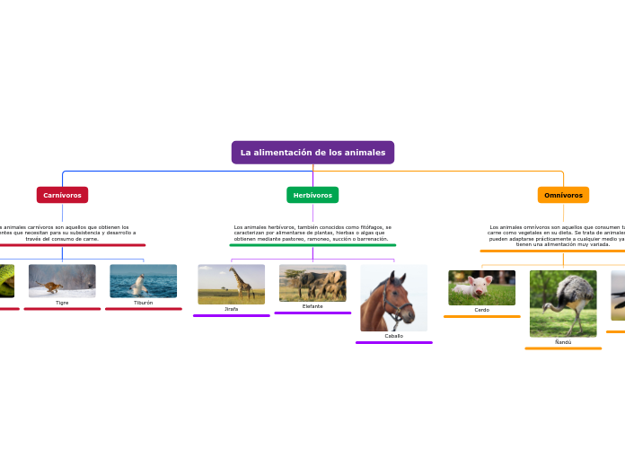 La alimentación de los animales