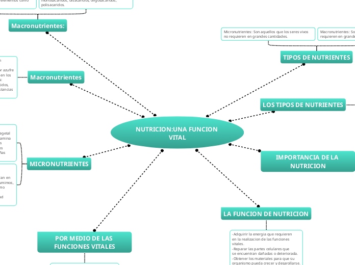 NUTRICION:UNA FUNCION VITAL