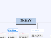 BASES ANATÓMICAS, FISIOLÓGICAS, Y NEURO...- Mapa Mental