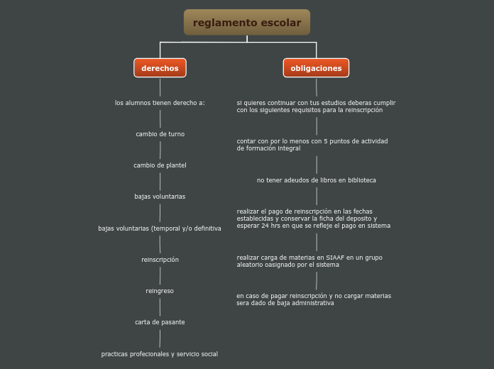 reglamento escolar - Mapa Mental