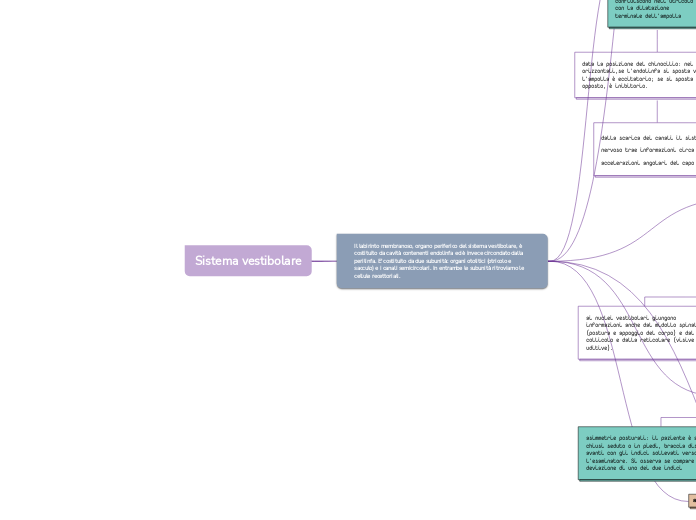Sistema vestibolare - Mappa Mentale