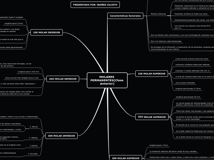 MOLARES PERMANENTES(Clase Anterior) - Mapa Mental