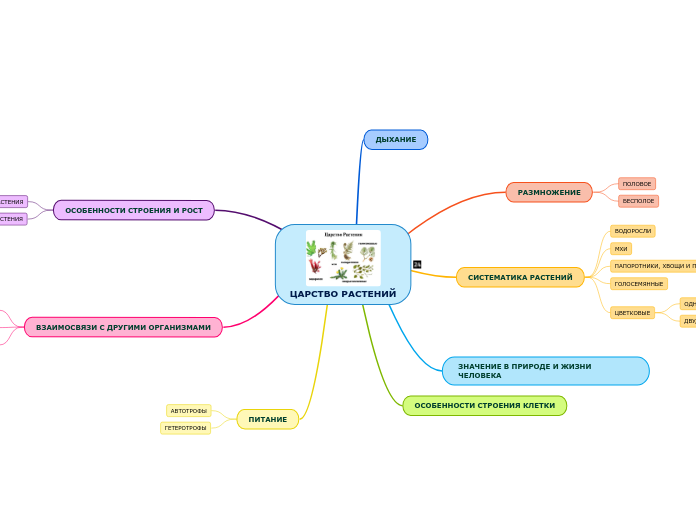 ЦАРСТВО РАСТЕНИЙ - Мыслительная карта