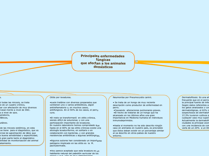 Principales enfermedades fúngicas
que a...- Mapa Mental