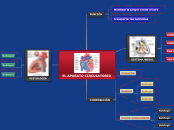 EL APARATO CIRCULATORIO - Mapa Mental