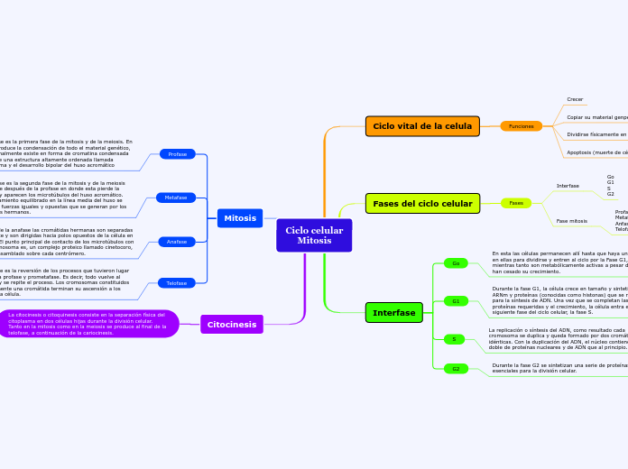 Ciclo celular
Mitosis - Mapa Mental