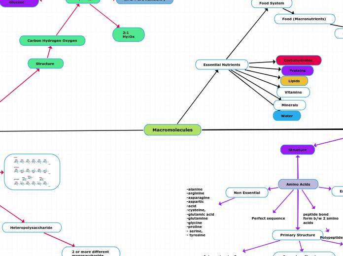 Macromolecules - Mind Map