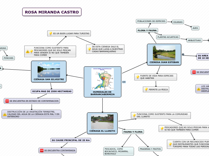 Organigrama arbol