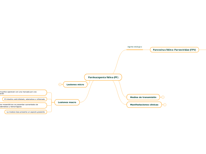 Panleucopenia felina (PF) - Mapa Mental