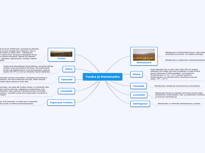 Tundra ja Metsatundra - Mind Map