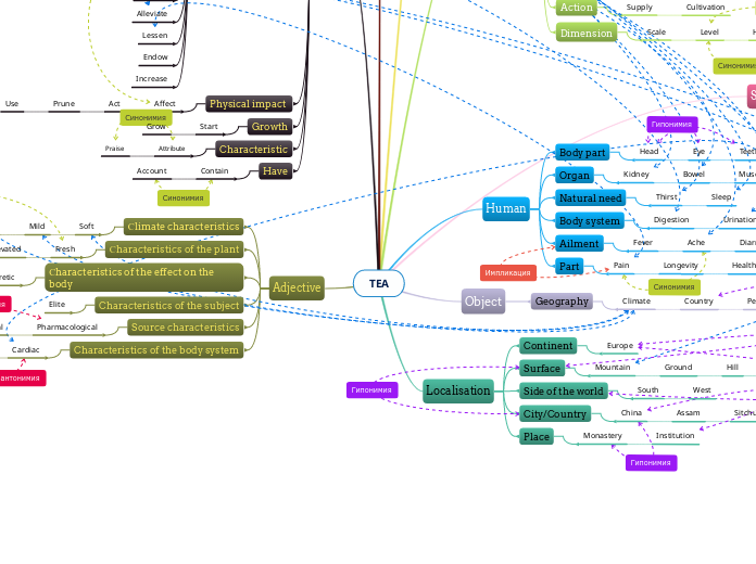 TEA - Mind Map