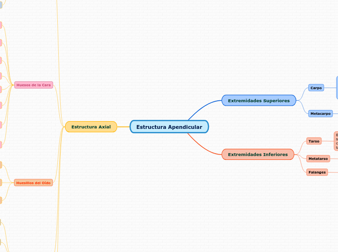 Estructura Apendicular