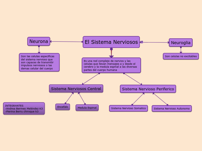 El Sistema Nerviosos
