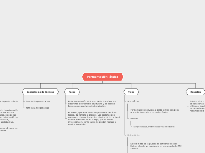 Fermentación láctica - Mapa Mental