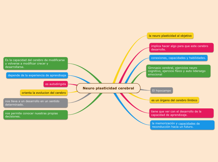 Neuro plasticidad cerebral