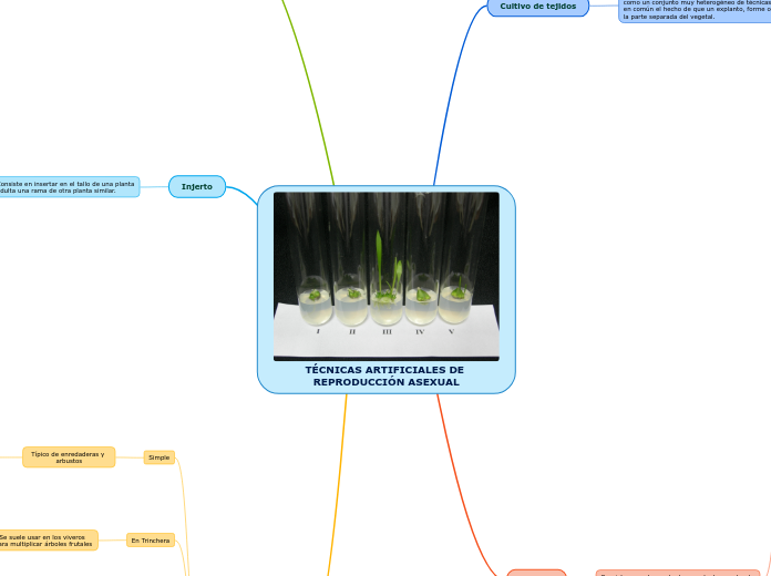 TÉCNICAS ARTIFICIALES DE REPRODUCCIÓN A...- Mapa Mental