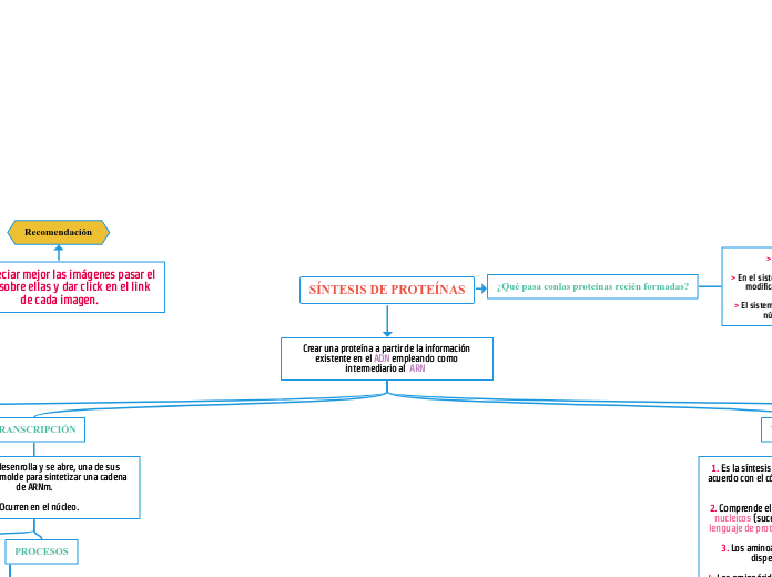 SÍNTESIS DE PROTEÍNAS - Mapa Mental