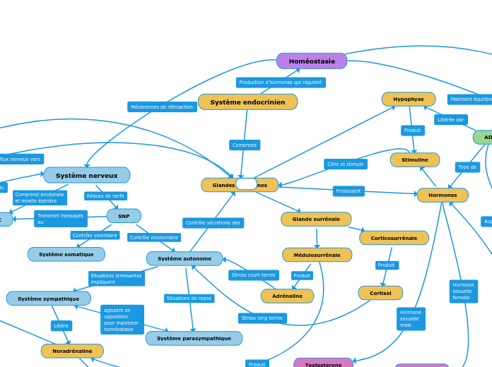 Glandes endocrines