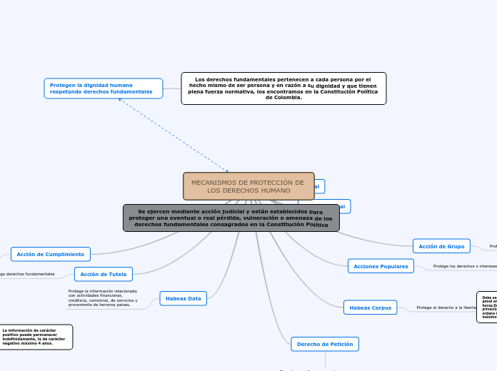 MECANISMOS DE PROTECCIÓN DE LOS DERECHOS HUMANO