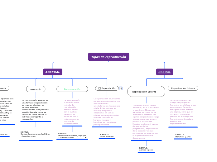 Tipos de reproducción - Mapa Mental