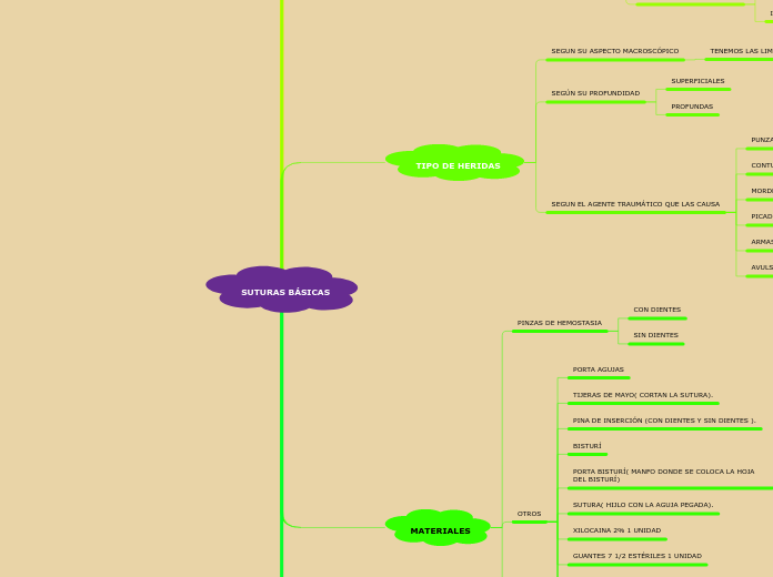 SUTURAS BÁSICAS - Mapa Mental