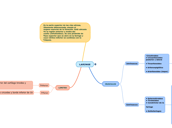 LARINGE - Mapa Mental