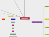 Carbohydrates - Mind Map