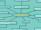 ECOGRAFO - Mapa Mental