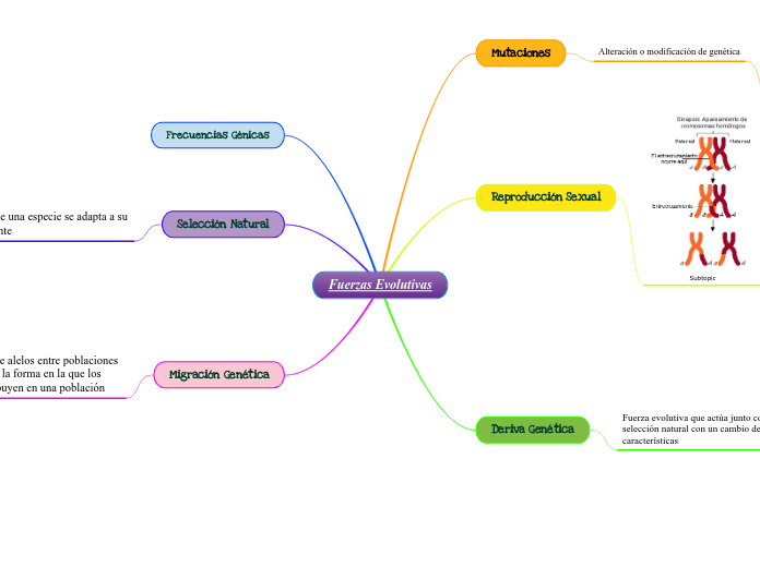 Fuerzas Evolutivas