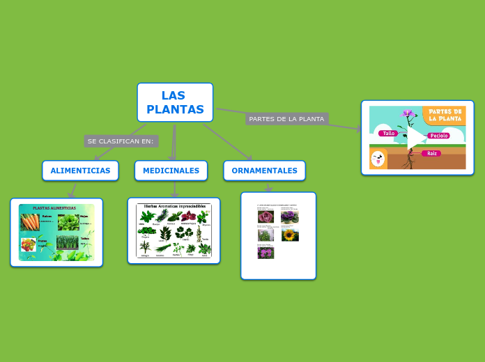 LAS PLANTAS - Mind Map