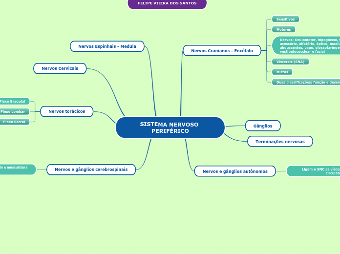 SISTEMA NERVOSO PERIFÉRICO - Mapa Mental