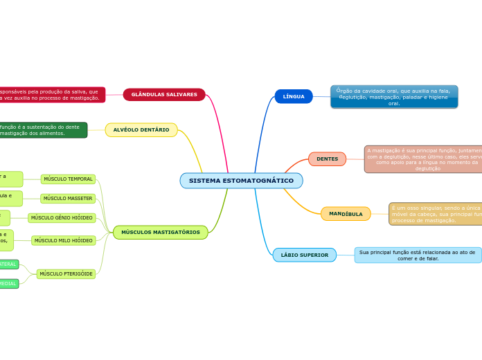 SISTEMA ESTOMATOGNÁTICO