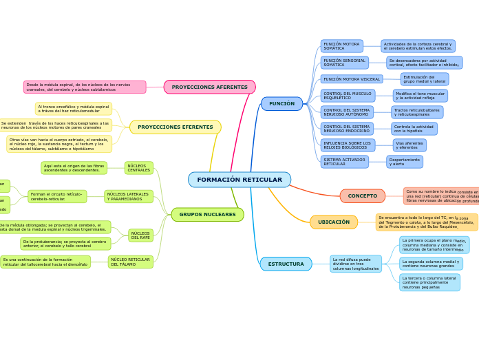 FORMACIÓN RETICULAR