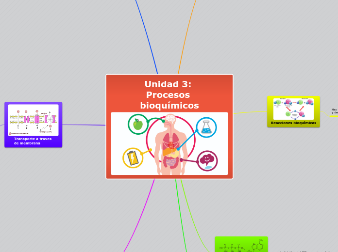 Unidad 3: Procesos 
bioquímicos - Mapa Mental