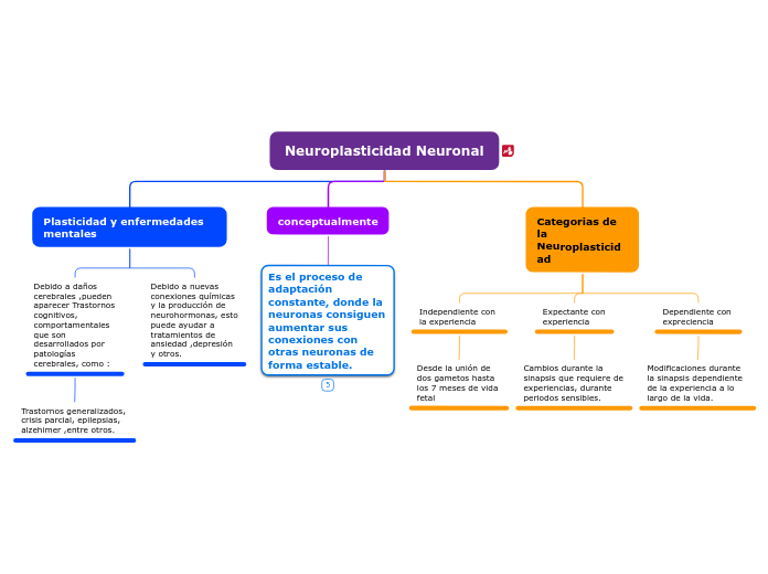 Neuroplasticidad Neuronal - Mapa Mental