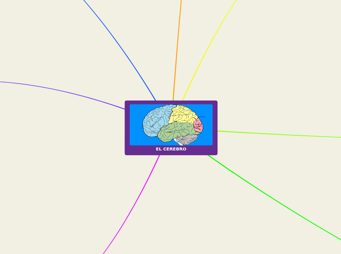 app map mindup