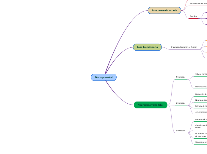 Etapa prenatal - Mapa Mental