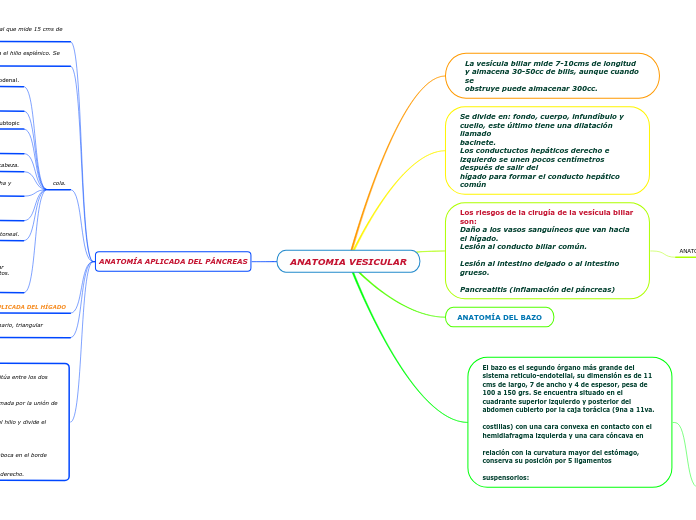 ANATOMIA VESICULAR - Mapa Mental