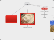 trigo - Mapa Mental