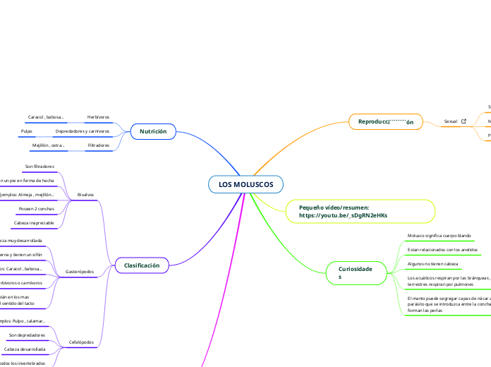LOS MOLUSCOS - Mapa Mental