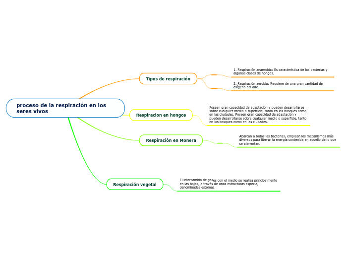 proceso de la respiración en los seres ...- Mapa Mental